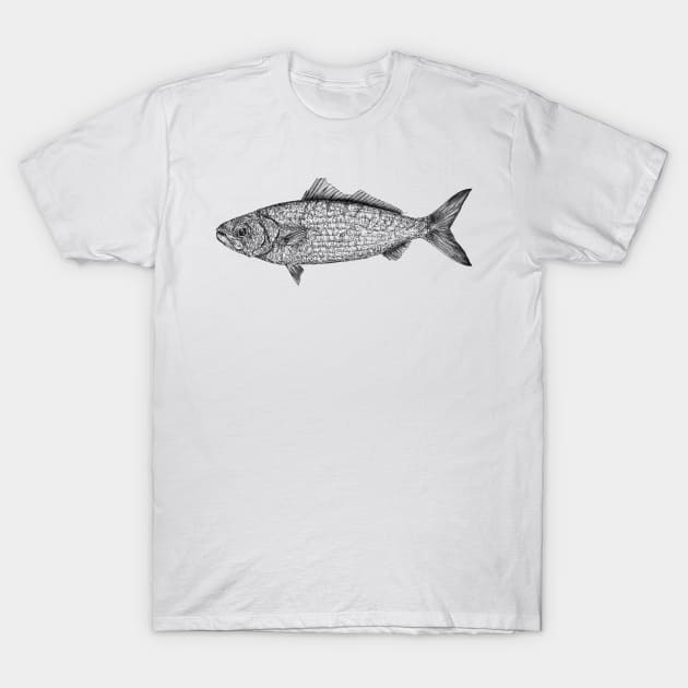 Fish scientific nature black ink pen drawing illustration T-Shirt by DamiansART